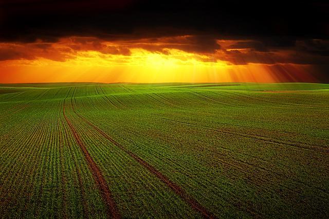 agriculture