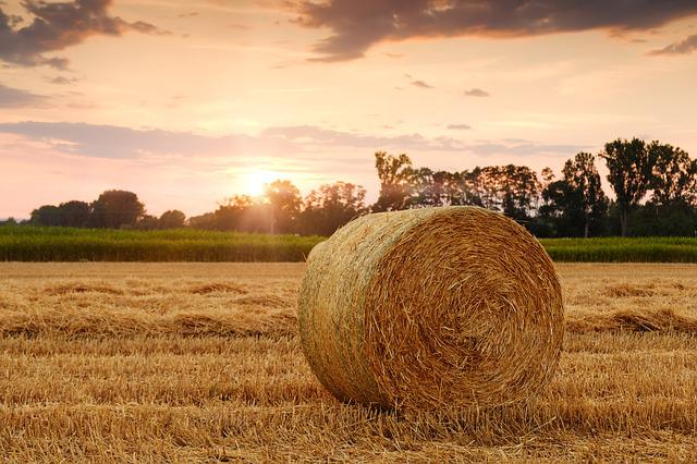 agriculture