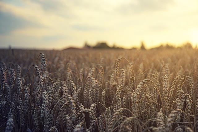 agriculture