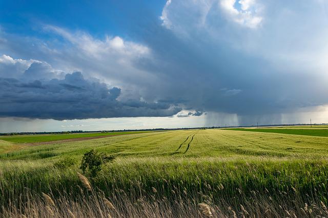 agriculture